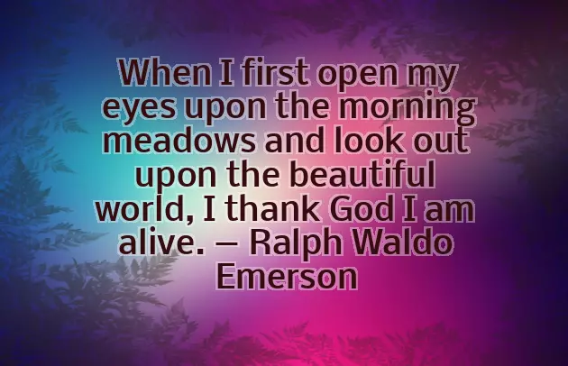 Good Morning Message To My Woman Good Morning Message To My Woman