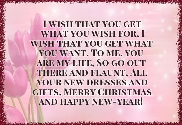 Funny Merry Christmas Message Funny Merry Christmas Message