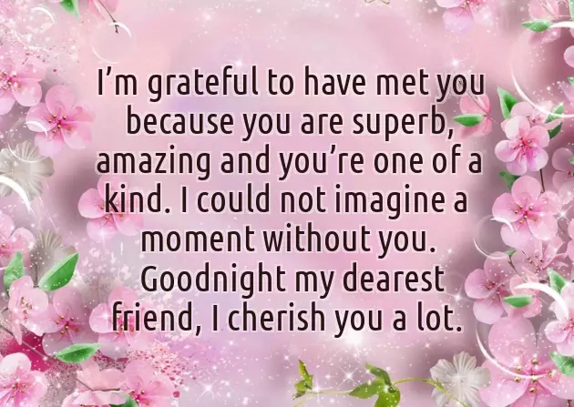 Good Night My Best Friend Good Night My Best Friend