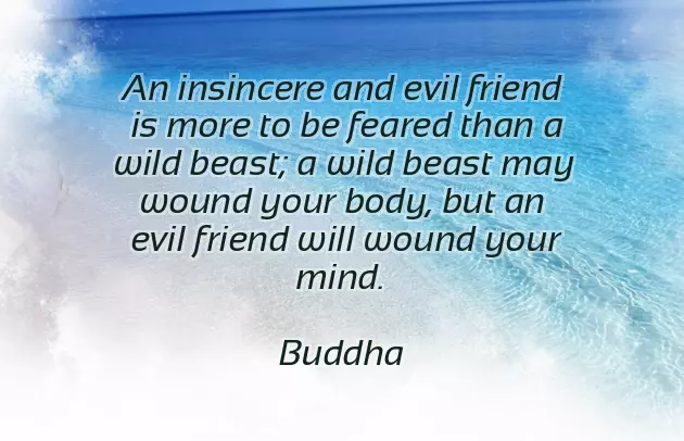 People Are Fake Quotes People Are Fake Quotes