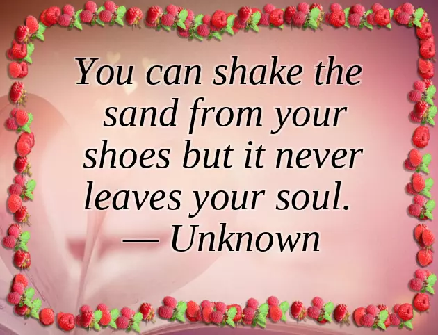 Funny Caption For Wishing Birthday To Best Friend Funny Caption For Wishing Birthday To Best Friend