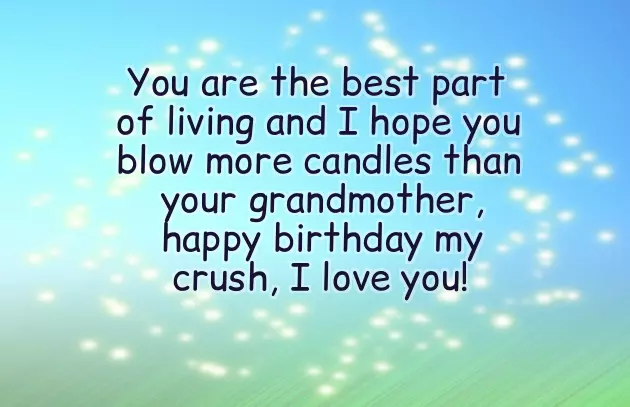 Happy Birthday To Your Crush Happy Birthday To Your Crush