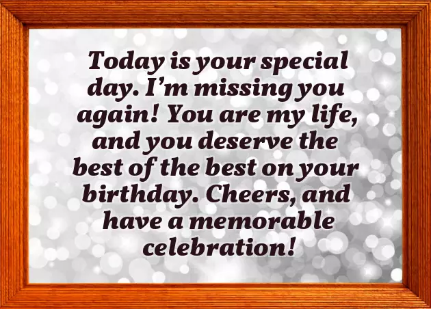 A Birthday Wish For Boyfriend