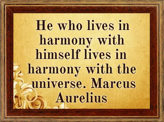 Quotes On Joy Quotes On Joy