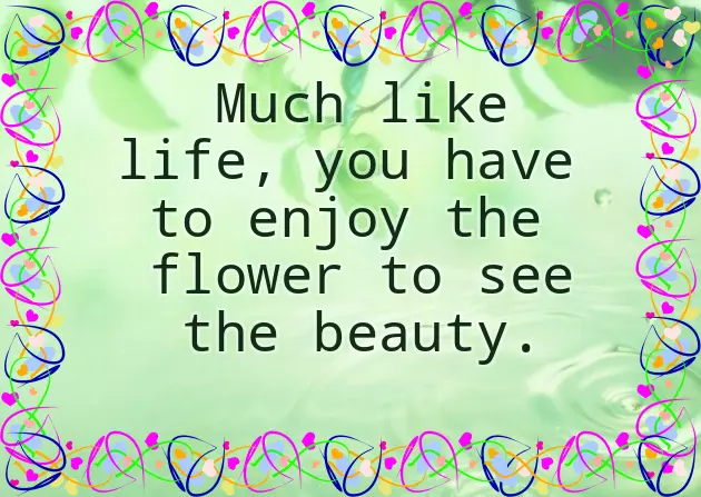 Flower Quotes Love Flower Quotes Love