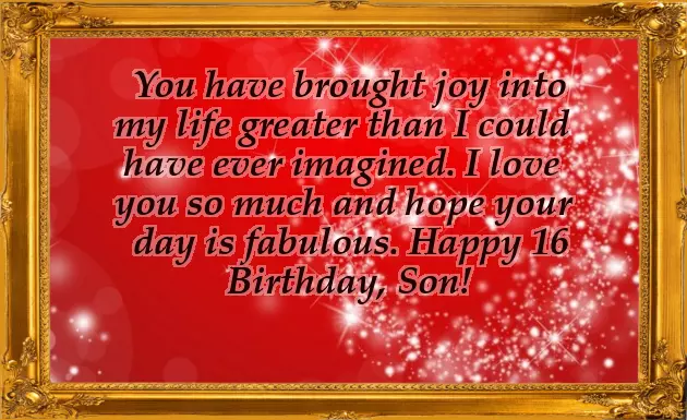 Birthday Quotes For 16 Year Old Son Birthday Quotes For 16 Year Old Son