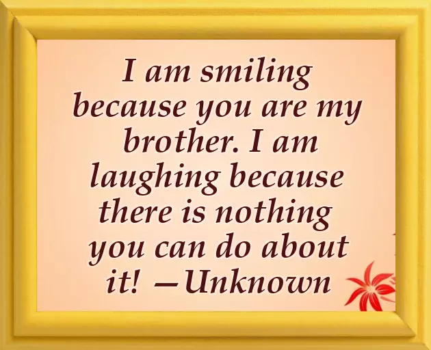 Quotes For Brother Birthday Wishes Quotes For Brother Birthday Wishes